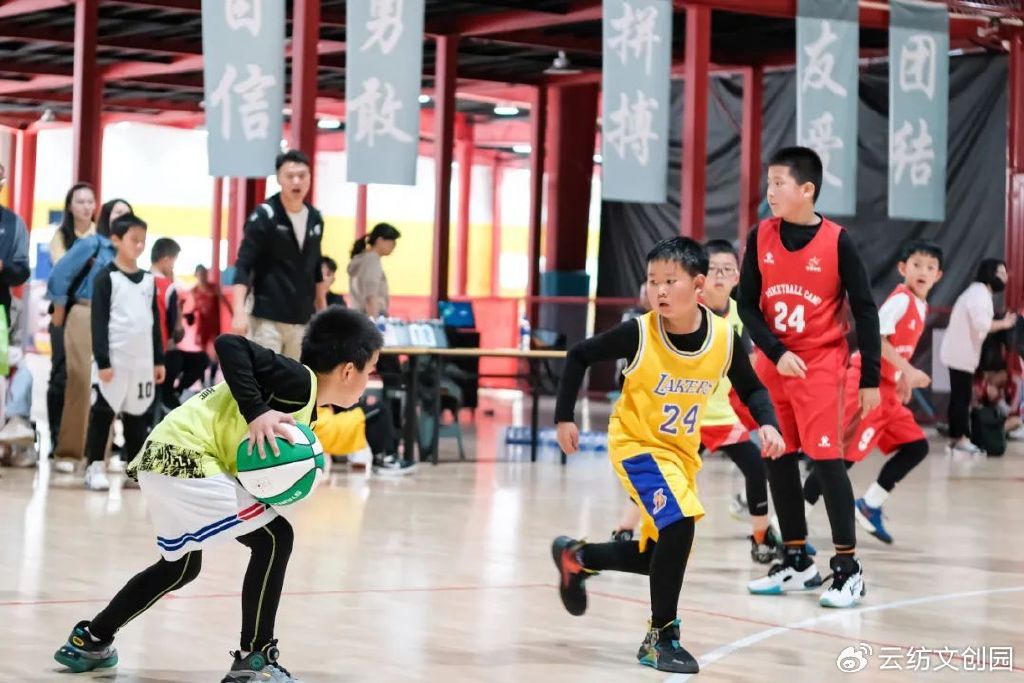 青少年篮球爱好者综合训练方案_1